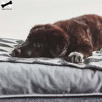 Miękkie grube łóżko dla zwierząt materac mata kwadratowa Anti-maszyna do uszczelniania zmywalne trwałe Sofa 3 kolory dostępne dla psów kotów 5